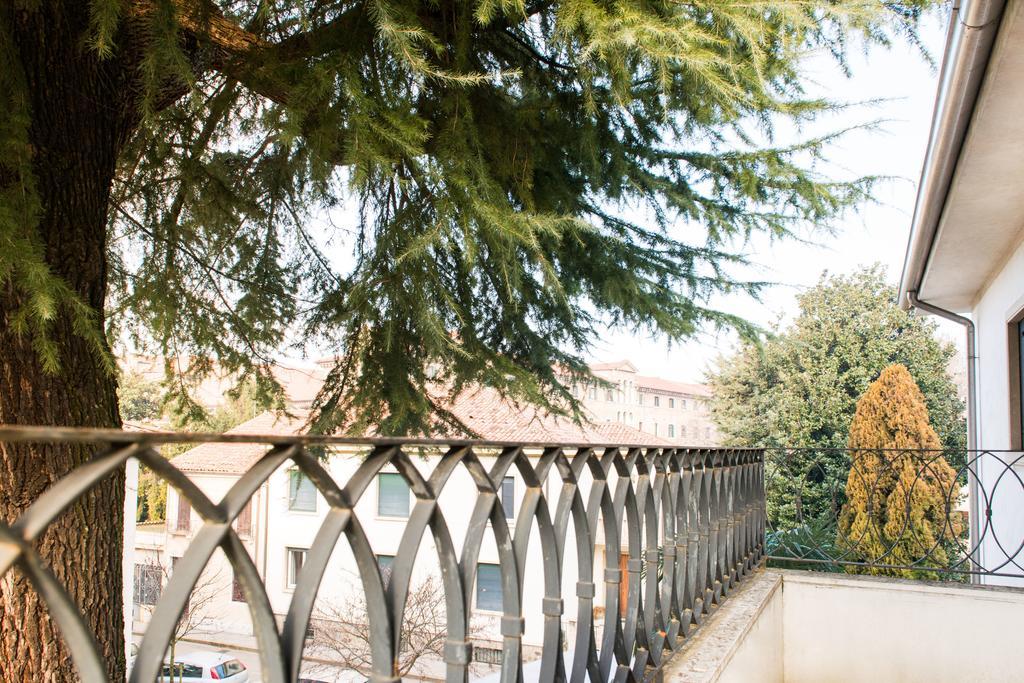 Myplace Prato Della Valle Apartments Padova Oda fotoğraf