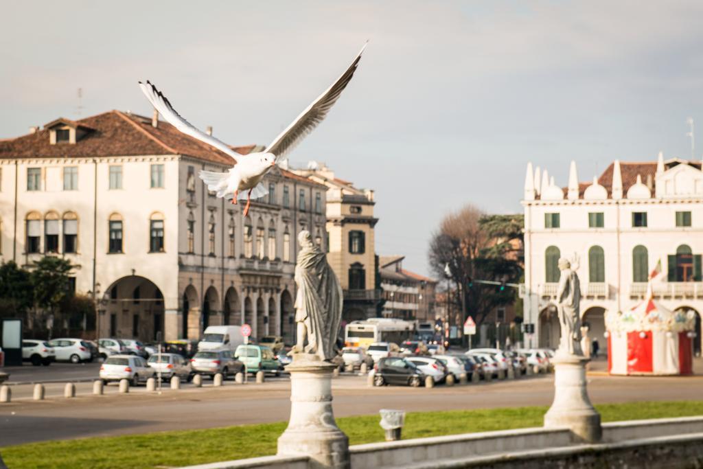 Myplace Prato Della Valle Apartments Padova Dış mekan fotoğraf